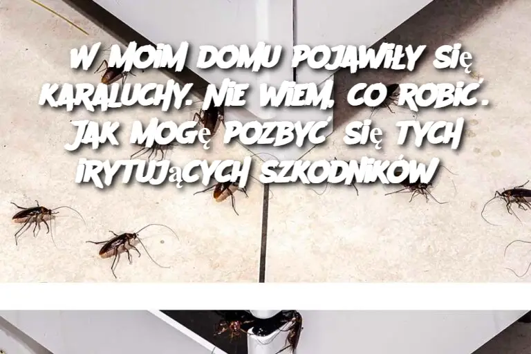 W moim domu pojawiły się karaluchy. Nie wiem, co robić. Jak mogę pozbyć się tych irytujących szkodników?