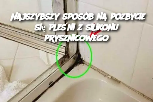 Najszybszy sposób na pozbycie się pleśni z silikonu prysznicowego