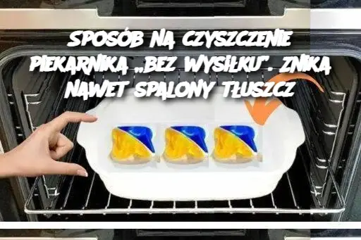 Sposób na czyszczenie piekarnika „bez wysiłku”. Znika nawet spalony tłuszcz