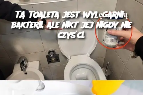 TA TOaleta jest wylęgarnią bakterii, ale nikt jej nigdy nie czyści.