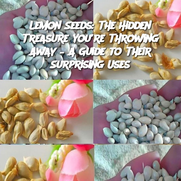 Lemon Seeds: The Hidden Treasure You’re Throwing Away – A Guide to Their Surprising Uses