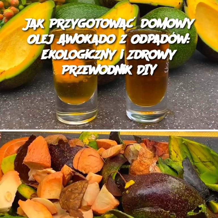 Jak Przygotować Domowy Olej Awokado z Odpadów: Ekologiczny i Zdrowy Przewodnik DIY