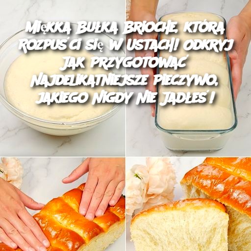 Miękka Bułka Brioche, która Rozpuści się w Ustach! Odkryj Jak Przygotować Najdelikatniejsze Pieczywo, jakiego Nigdy Nie Jadłeś!