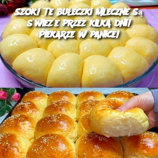 Szok! Te bułeczki mleczne są świeże przez kilka dni! Piekarze w panice!