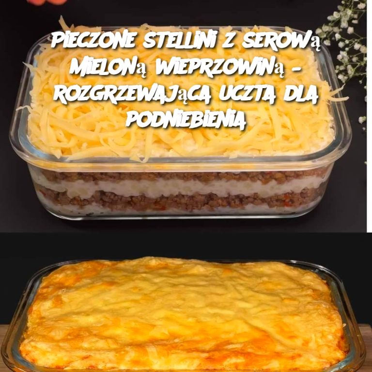 Pieczone Stellini z Serową Mieloną Wieprzowiną – Rozgrzewająca Uczta dla Podniebienia