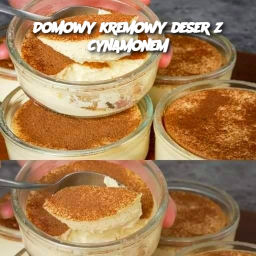 Domowy kremowy deser z cynamonem 🍮