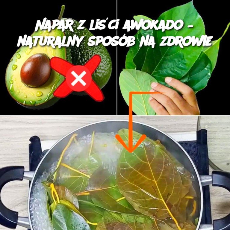 Napar z liści awokado – naturalny sposób na zdrowie