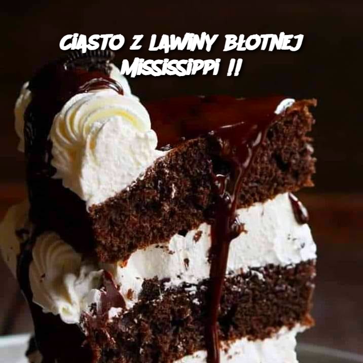 Ciasto z lawiny błotnej Mississippi 🌋🍫