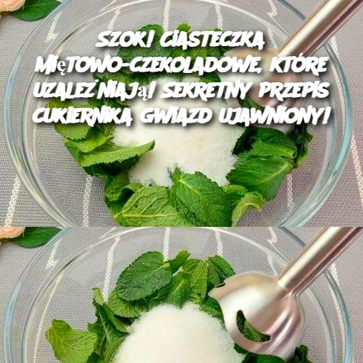 Szok! Ciasteczka miętowo-czekoladowe, które uzależniają! Sekretny przepis cukiernika gwiazd ujawniony! 🎉🍪