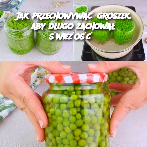 Jak przechowywać groszek, aby długo zachował świeżość? 🫛🌱