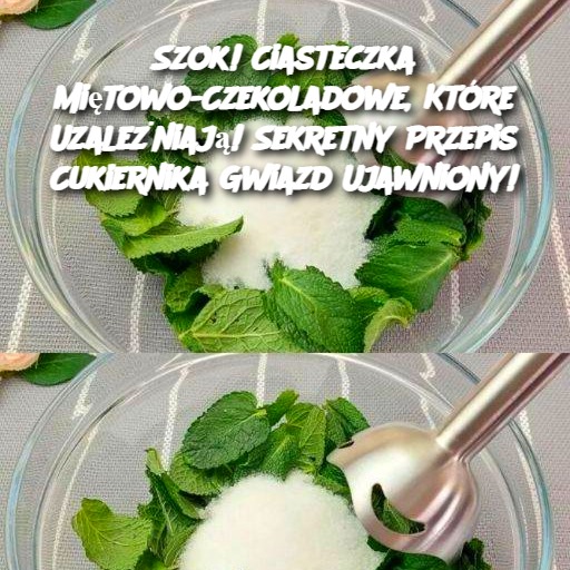 🎉 Szok! Ciasteczka Miętowo-Czekoladowe, Które Uzależniają! Sekretny Przepis Cukiernika Gwiazd Ujawniony! 🍪🍫🌿