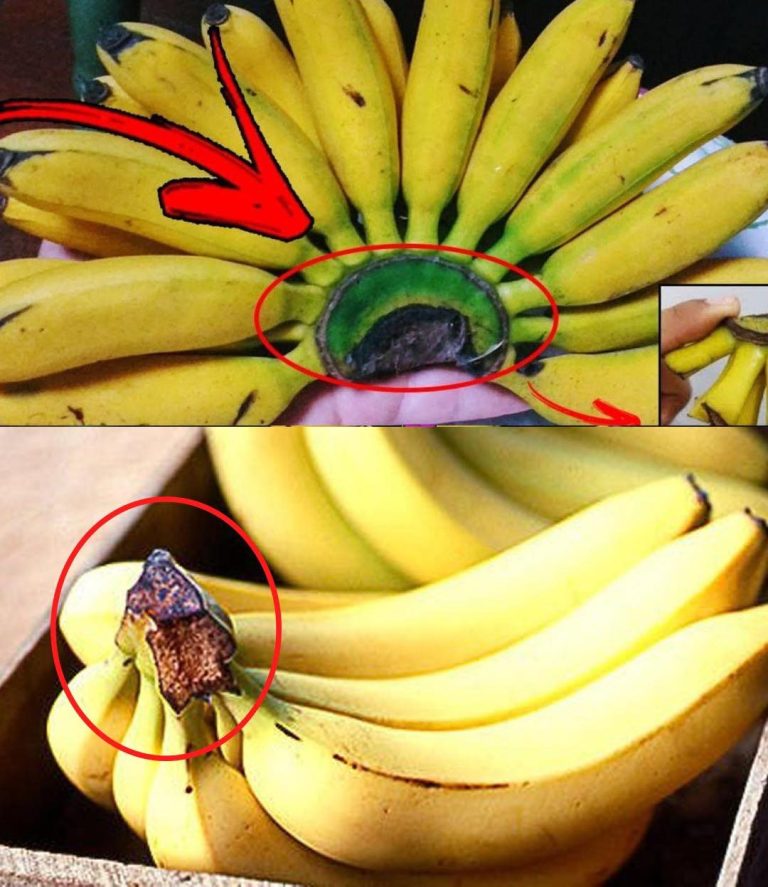 Nigdy nie wyrzucaj tej części banana: Oto dlaczego jest ona ceniona w domu