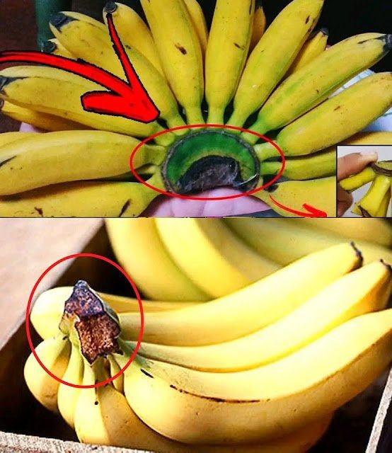 Nie wyrzucaj tej części banana. Ma ona praktyczne zastosowanie w domu.