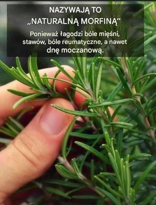 Czy można naturalnie poprawić pamięć?