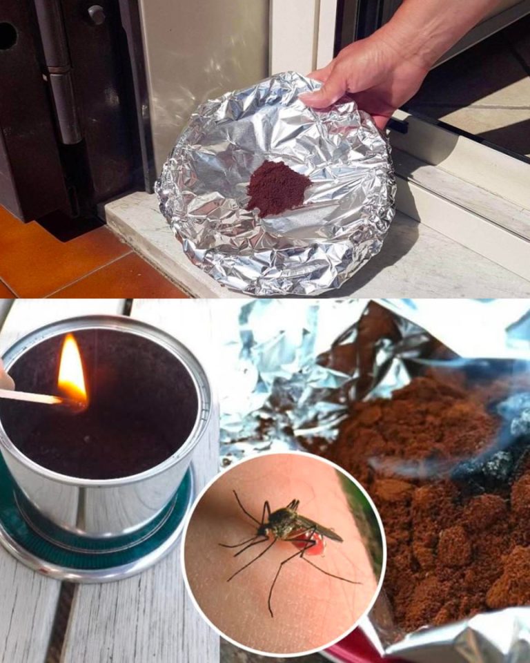 Żegnaj komarom na 3 kolejne miesiące: Nawet skuteczniejszym środkiem niż insektycyd jest kawa