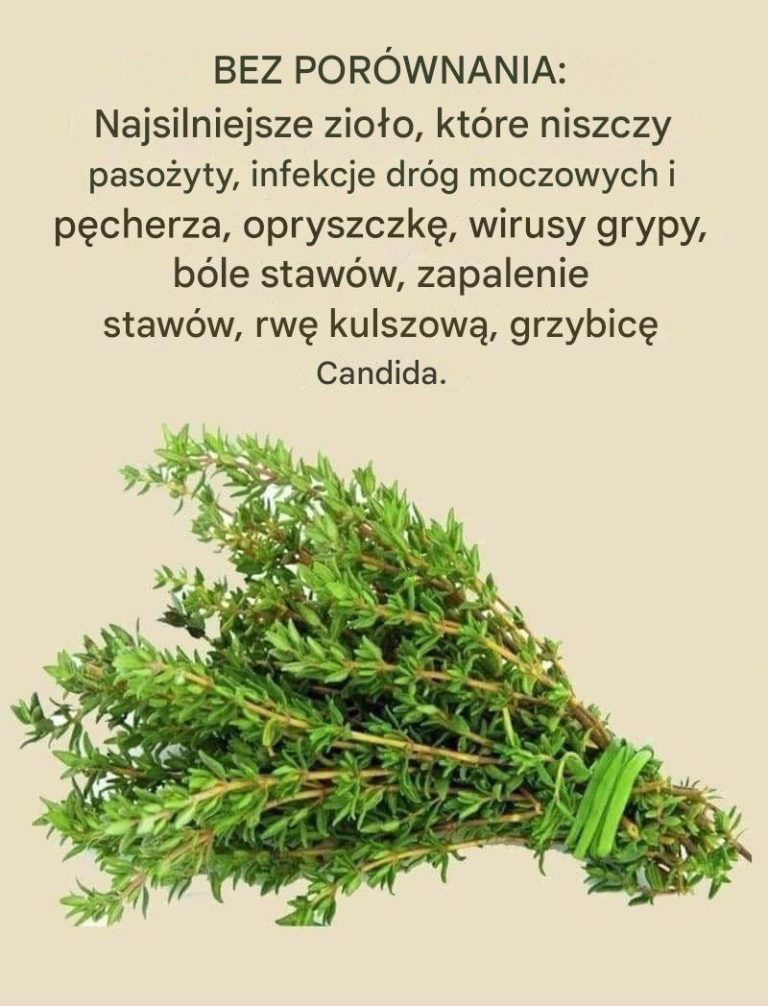 Tymianek: zioło, które niszczy pasożyty, wirusy grypy i wiele innych