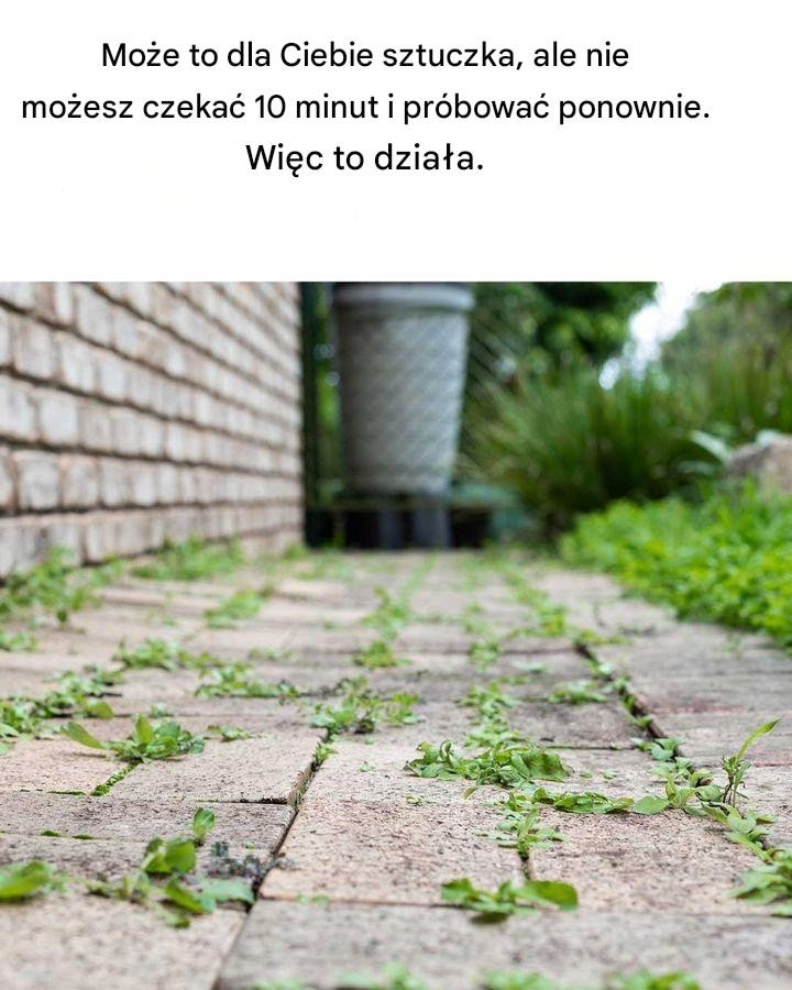 Nie miałem o tym pojęcia! Dobrze wiedzieć!